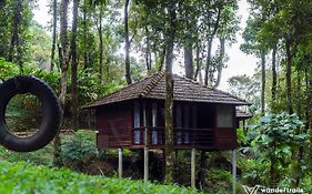 Lantern Stay Wayanad